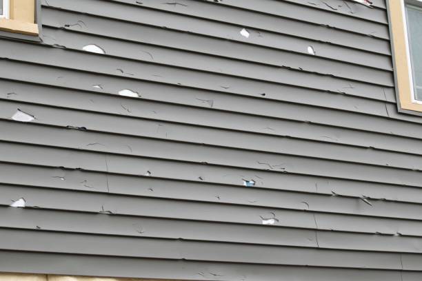 Affordable Siding Repair and Maintenance Services in Covington, IN